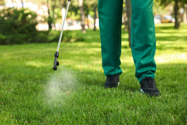 Best Exterminator Services  in Pine Island, MN