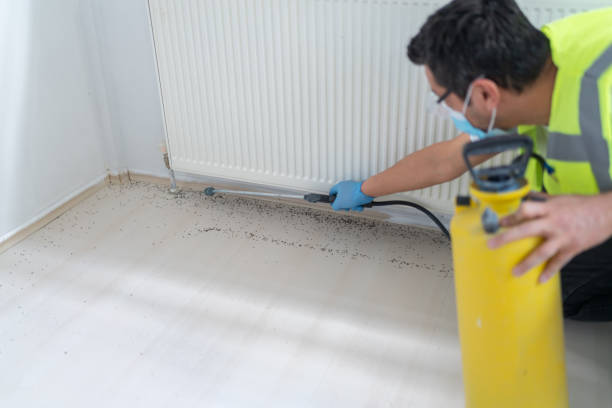 Best Commercial Pest Control Services  in Pine Island, MN
